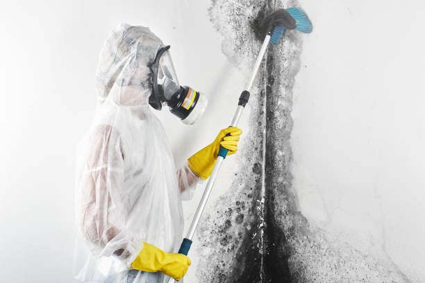 Best Mold-Related Health Consultation  in , OR