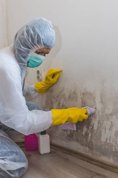 Best Real Estate Mold Inspection  in , OR