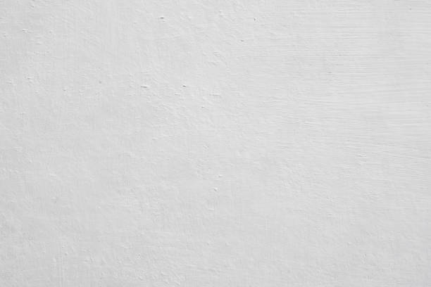  , OR Mold Removal Pros
